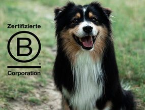 Hund lächelt und B-Corp Zertifikat daneben