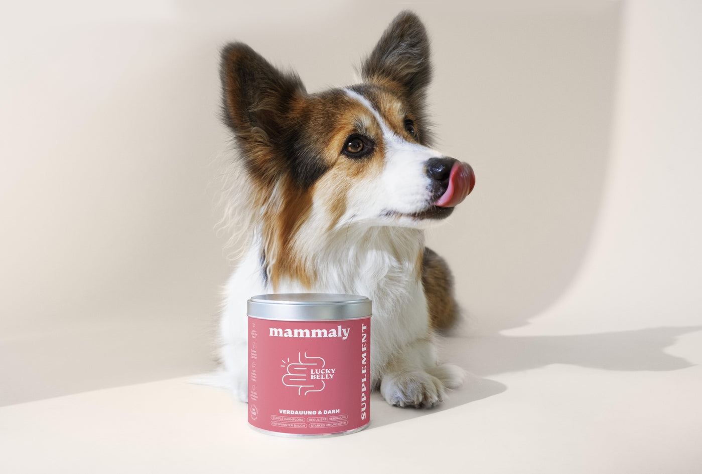 Durchfall beim Hund – Das musst du wissen