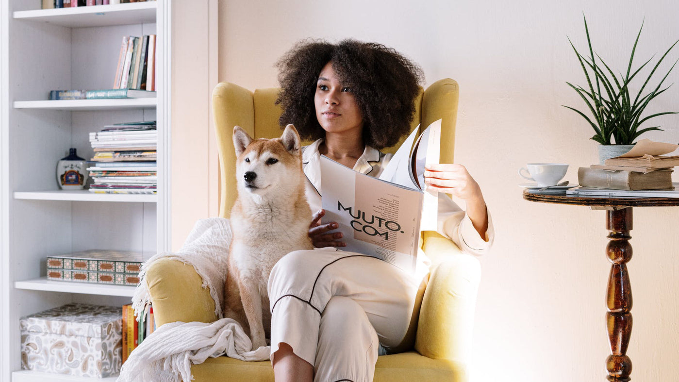 Dein Hund kann nicht alleine bleiben?  So kannst du ihm helfen
