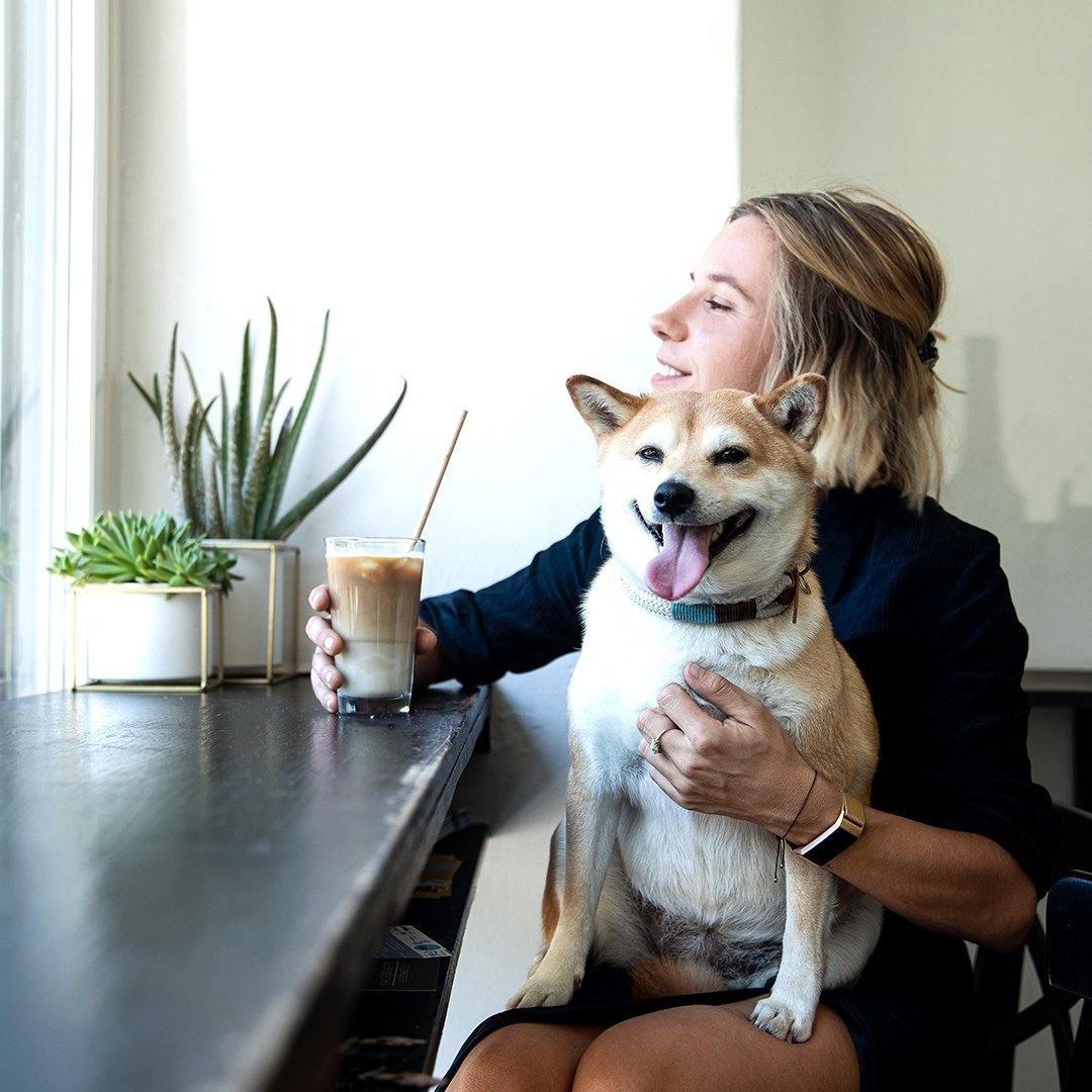 Mein Hund trinkt viel – was ist noch normal und welche Ursachen kann es haben? - mammaly