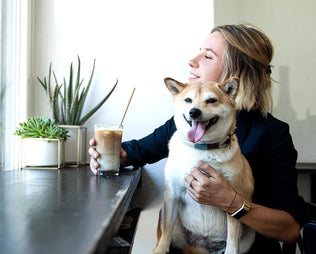 Mein Hund trinkt viel – was ist noch normal und welche Ursachen kann es haben? - mammaly