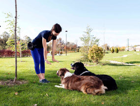 Hundetrainerin übt mit Hunden in der Hundeschule