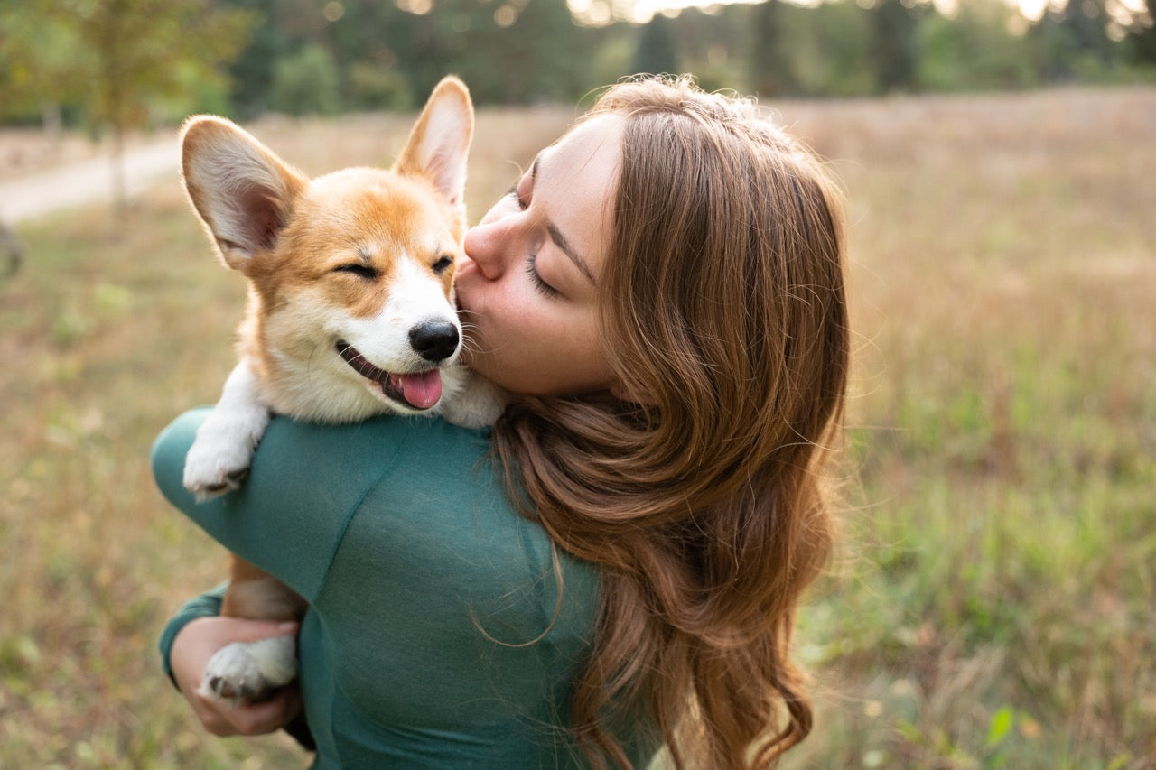 Hundebesitzer umarmt ihren Hund