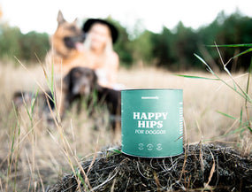 Erfahrungen mit Happy Hips