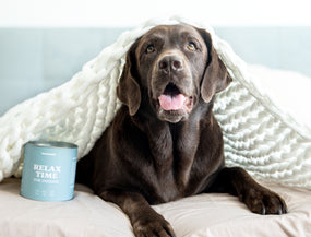 Erfolgsgeschichten mit Funktionssnack Relax Time