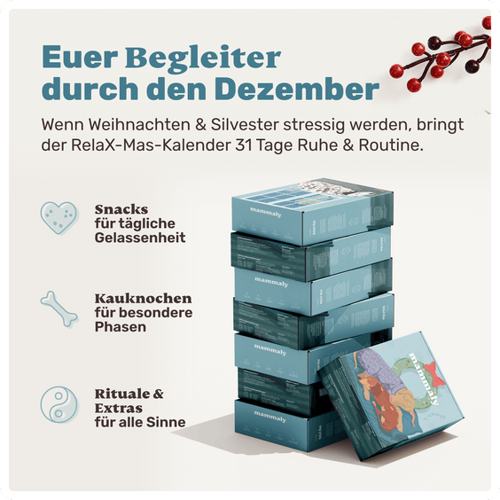 So funktioniert der mammaly Relax-Mas Adventskalender: Snacks für Ruhe, Kauknochen für besondere Phasen, Rituale & Extras gegen Feiertagsstress.