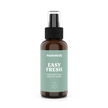 Easy Fresh