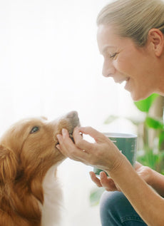 Verwöhne deinen Hund täglich mit leckeren Supplements.