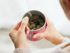 Die Lösung: Leckere Supplements für Hunde