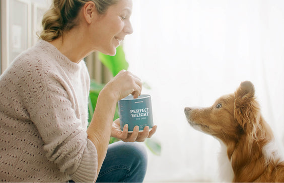 Hunde-Snack Perfect Weight