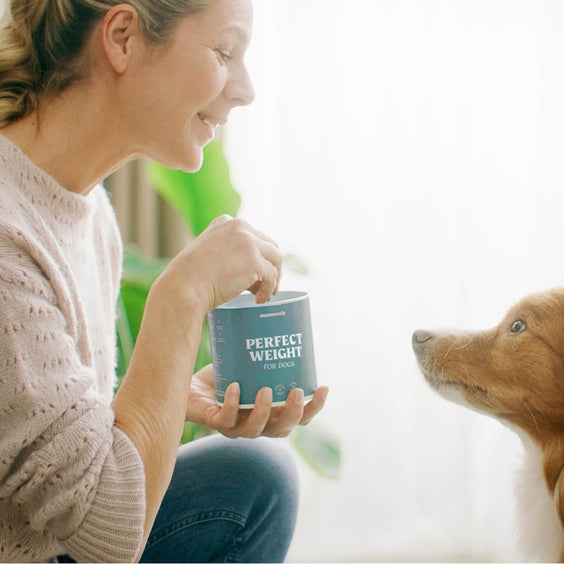 Hunde-Snack Perfect Weight