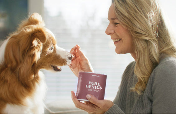 Hunde-Snack Pure Genius