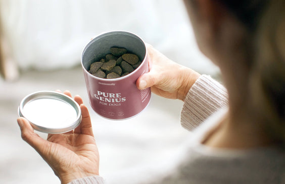 Hunde-Snack Pure Genius