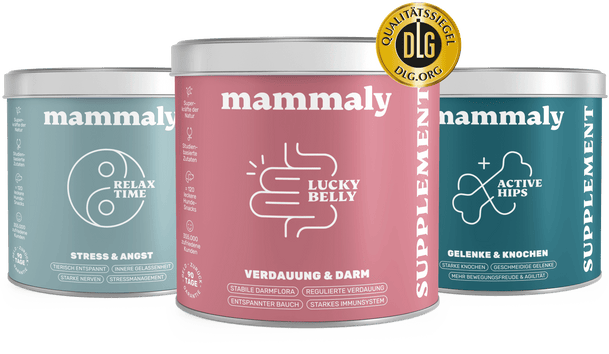 Erlebe die langfristigen Vorteile von mammaly