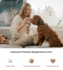 Supplements – Braucht mein Hund das wirklich?