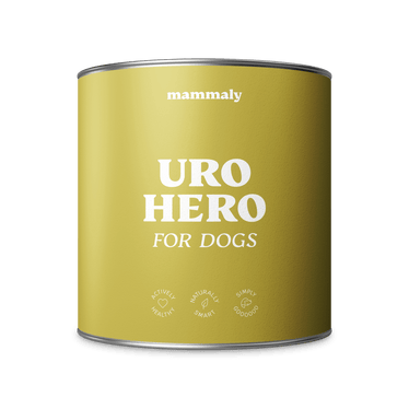 Uro Hero