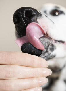 Verwöhne deinen Hund täglich mit leckeren Supplements.