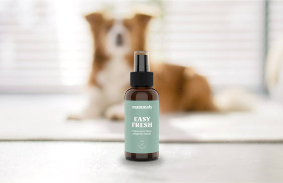 Dentalspray für Hunde Easy Fresh