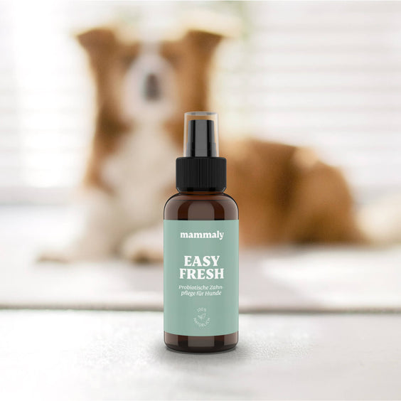 Dentalspray für Hunde Easy Fresh
