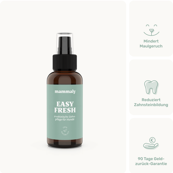 Dentalspray für Hunde Easy Fresh Produktverpackung