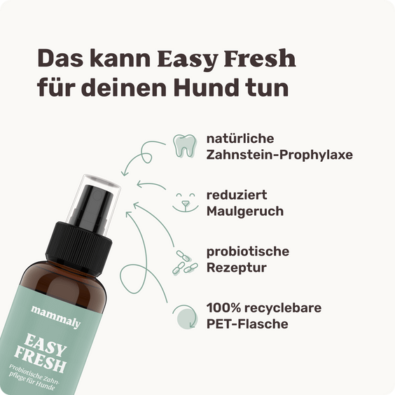 Dentalspray für Hunde Easy Fresh Produktverpackung