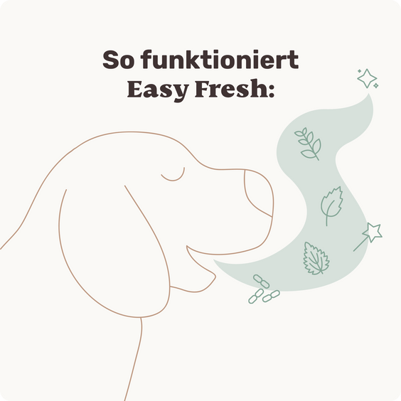 Dentalspray für Hunde Easy Fresh
