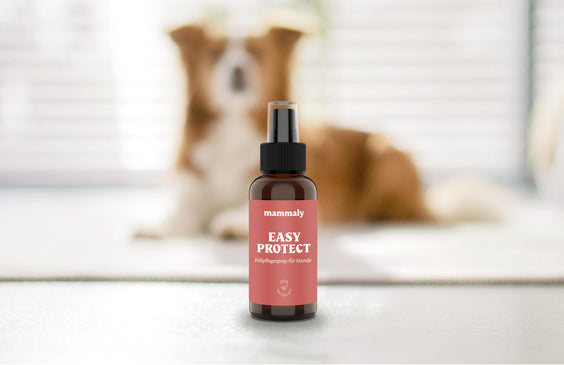 Easy Protect Fellpflege-Spray für Hunde