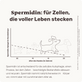 Hunde Zellpowersnack Long Life Spermidin