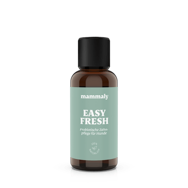 Easy Fresh