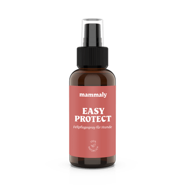 Easy Protect