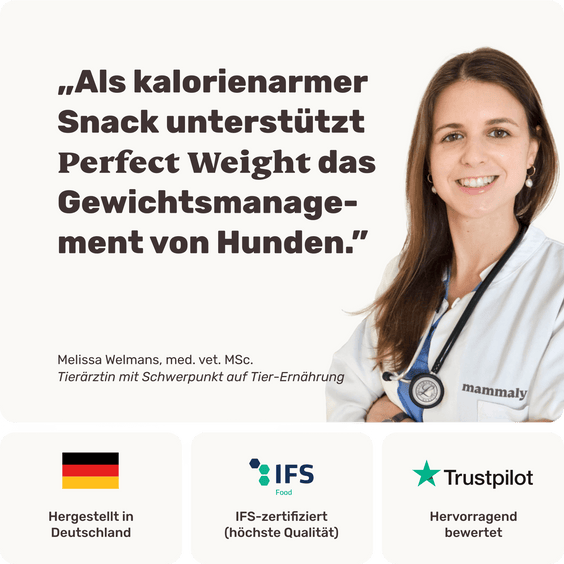 Hunde-Snack Perfect Weight Tierarztempfehlung