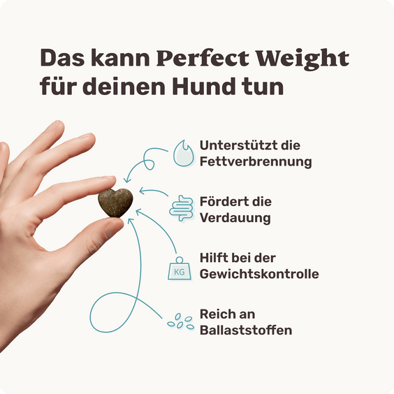 Hunde-Snack Perfect Weight Produktvorteile