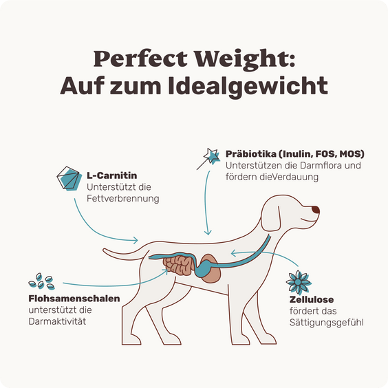 Hunde-Snack Perfect Weight Inhaltsstoffe
