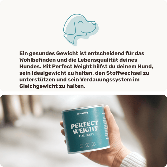Hunde-Snack Perfect Weight Hintergrundwissen