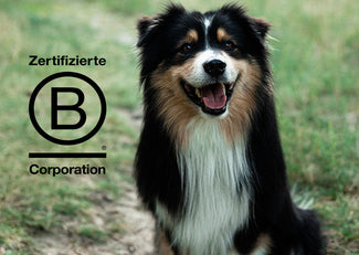 Hund lächelt und B-Corp Zertifikat daneben