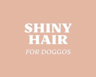 Shiny Hair - mammaly