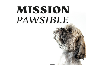 Mission Pawsible - mammaly