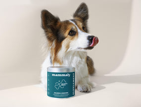 Erfolgsgeschichten mit Funktionssnack  Active Hips