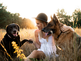 Top 5 Tipps - Für Gesunde Gelenke beim Hund