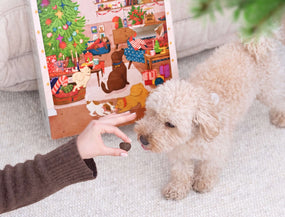 Ein Fest für Fellnasen:  Der Adventskalender von mammaly
