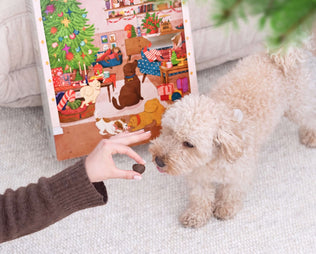 Ein Fest für Fellnasen:  Der Adventskalender von mammaly