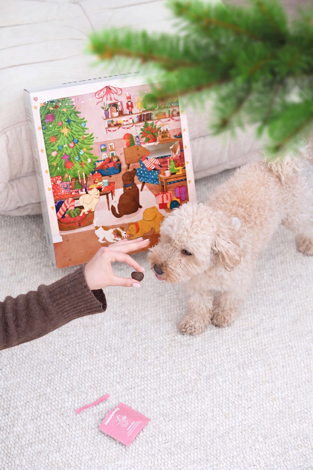 Ein Fest für Fellnasen:  Der Adventskalender von mammaly