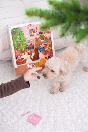 Ein Fest für Fellnasen:  Der Adventskalender von mammaly