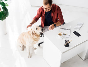 Dein Hund ist unruhig und wechselt ständig den Platz? So findest du heraus, was ihm fehlt