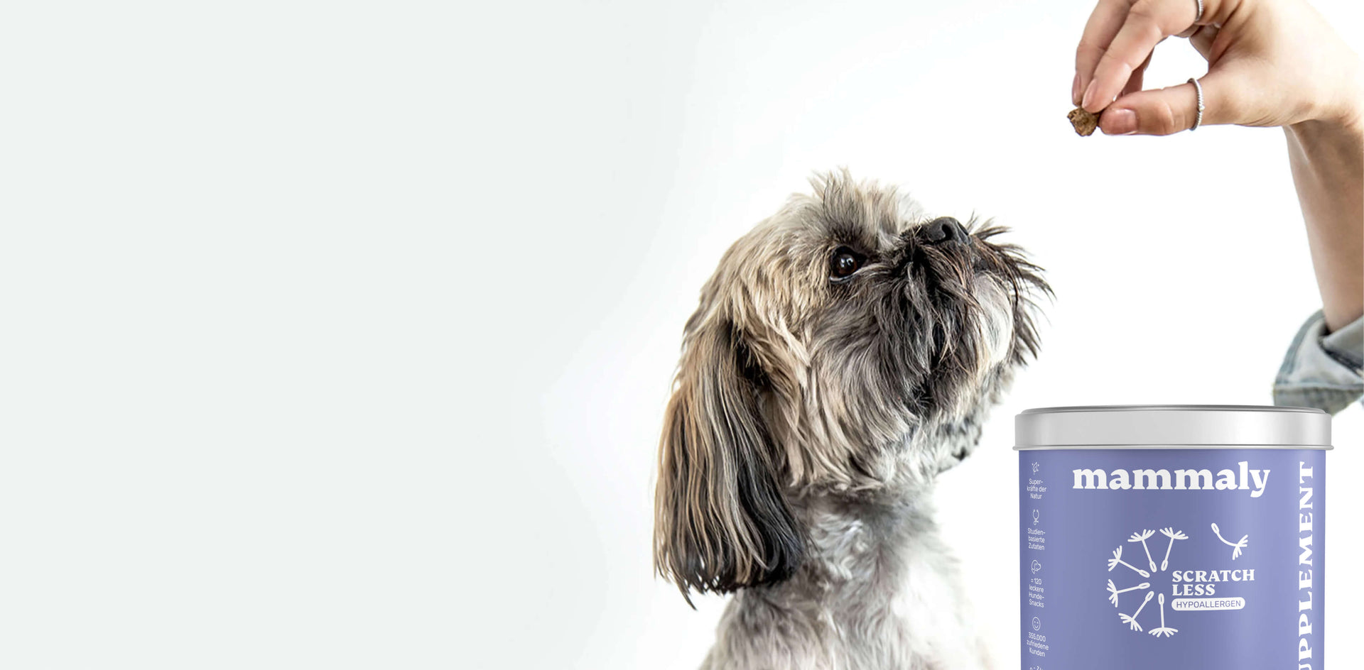 Hilf deinem Hund, Juckreiz zu überwinden – bringe sein Immunsystem wieder ins Gleichgewicht!