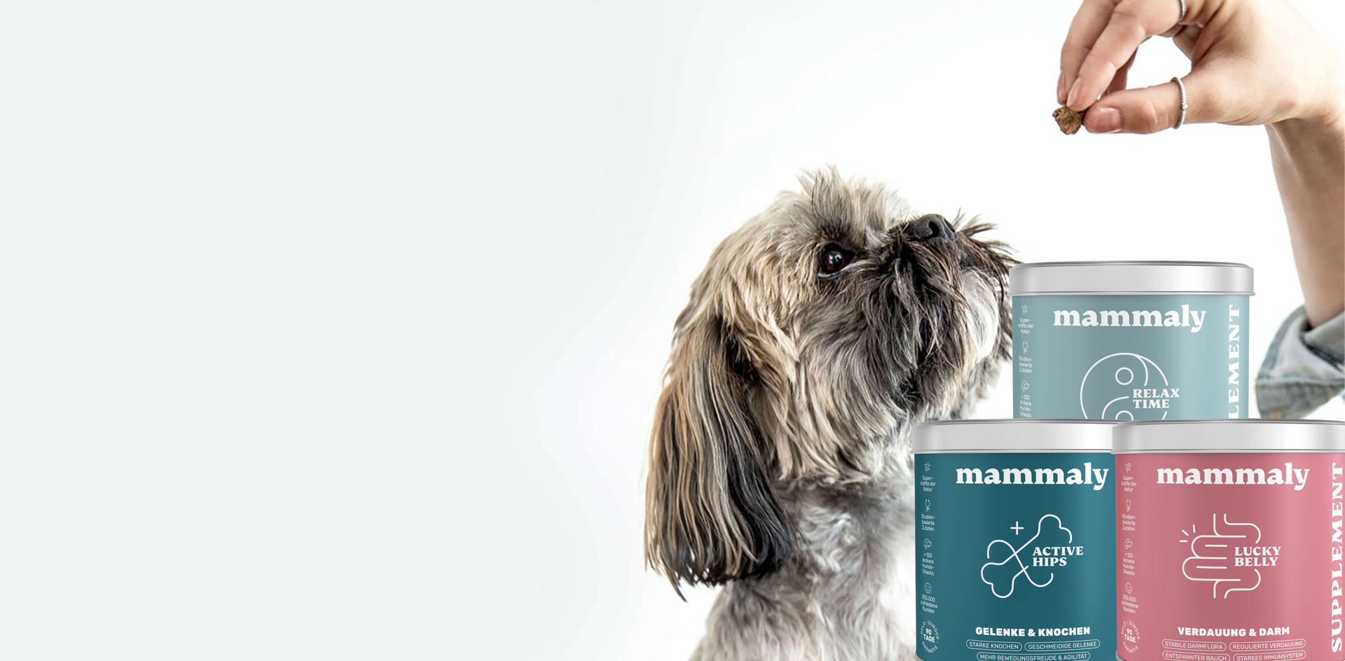 Stärke die Gesundheit deines Hundes langfristig, mit gezielter Nährstoffzufuhr durch hochwertige Supplements für Hunde