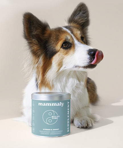 Benefits von beruhigenden Snacks