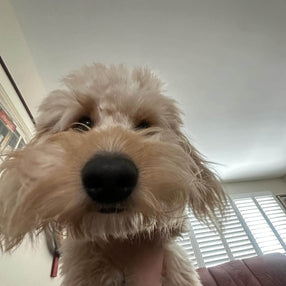 Frida & Heinz, 23.06.2025