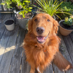 Krümel & Petra, 01.07.2025