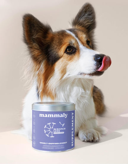 Vorteile hochwertiger Supplements: